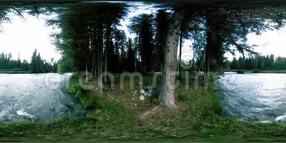 360一片野生森林的VR虚拟现实.. 松林，小快，寒山河.. 国家公园。视频