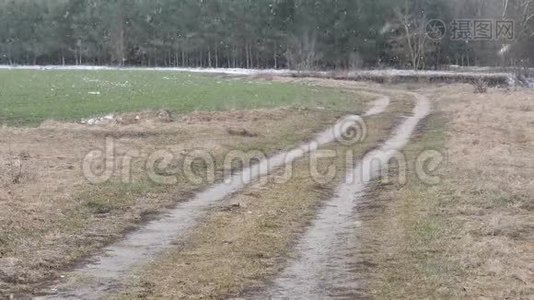 冬天的田野白雪覆盖了地面视频