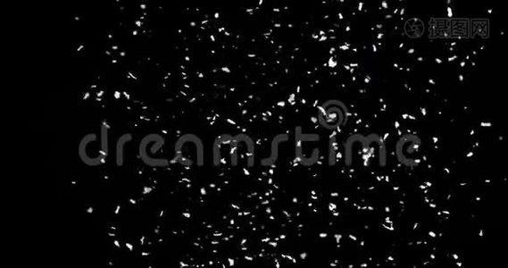 黑背景下的大雪视频
