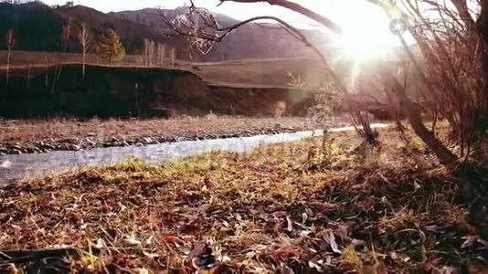 多利滑块拍摄了在森林附近的一条山河里飞溅的水。 潮湿的岩石和阳光。 水平稳定视频