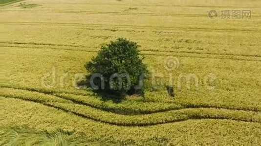 农业区鸟瞰图.视频