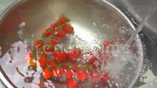 水中的樱桃番茄。视频
