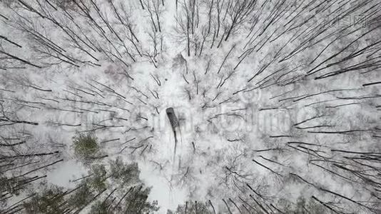在冬季森林中乘雪覆盖道路的越野车6x6上的空中观景，俯视视频