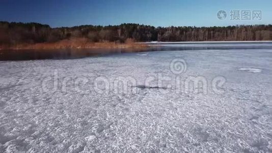 舍维诺湖的春天景观.视频