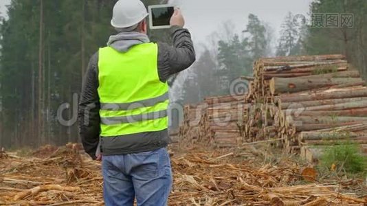 森林官员用平板电脑拍摄成堆的原木视频