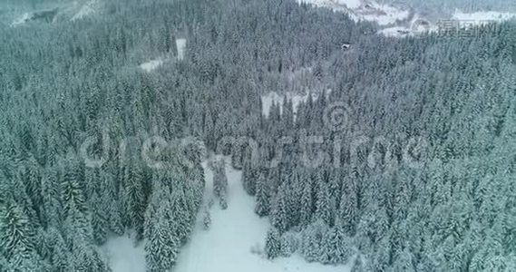 镜头雪覆盖树木，冬季大自然美丽的欧洲鸟瞰松林山，季节旅行白冻纳图视频