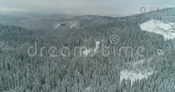 镜头雪覆盖树木，冬季大自然美丽的欧洲鸟瞰松林山，季节旅行白冻纳图视频