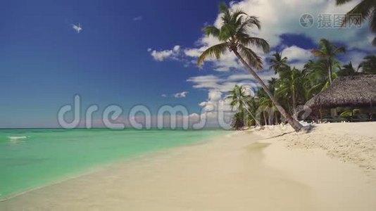 异国海岛。 椰子棕榈树和热带海滩。 加勒比海的暑假。视频