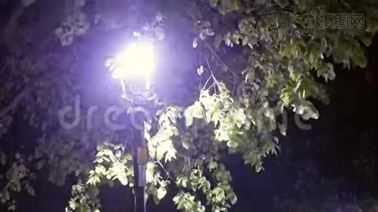 灯夜风暴公园视频