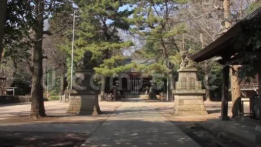 东京赤川神社传统寺庙视频