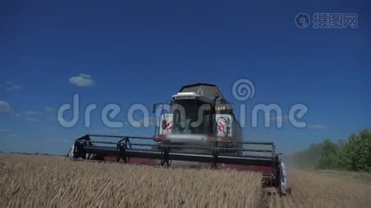 联合收割机收割小麦. 慢动作视频。 收获农业概念。 结合田间收获生活方式视频