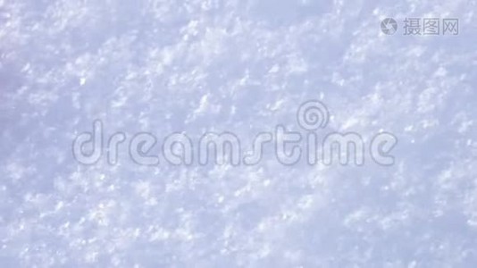 冬日白雪上的红粉毛心视频