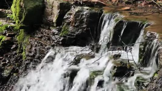 瀑布落在森林里视频