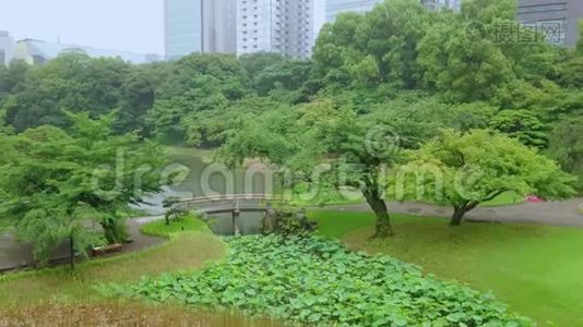 日本东京Korakuen日本花园-日本东京-2018年6月12日视频
