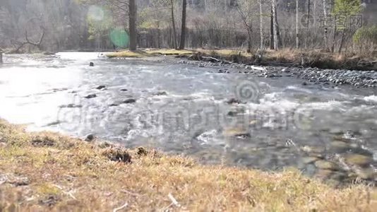 多利滑块拍摄了在森林附近的一条山河里飞溅的水。 潮湿的岩石和阳光。 水平稳定视频