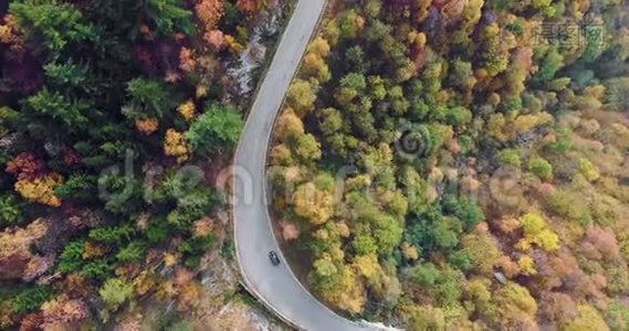 在五彩缤纷的秋林中，汽车在公路上行驶，俯瞰空中俯视图。秋橙、绿、黄、红的树林视频