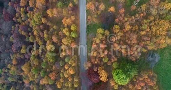 在五彩缤纷的秋林中，汽车在公路上行驶时的头顶鸟瞰图。秋橙、绿、黄、红的树林视频