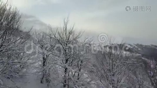 鸟瞰冬山积雪森林..视频