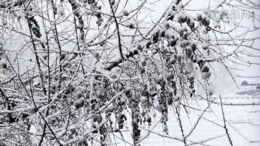 大雪湖——效雪.视频