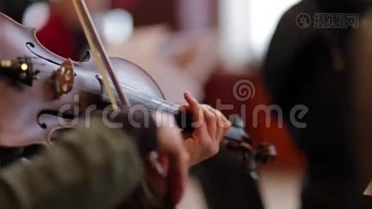 女人演奏小提琴古典音乐。视频