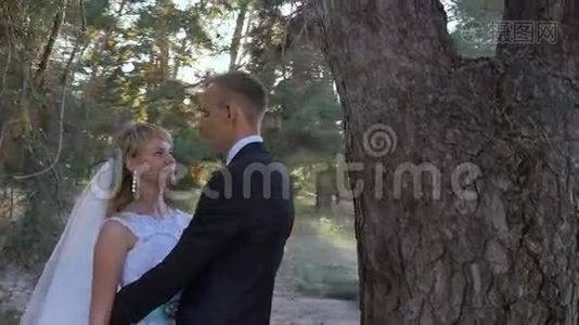 新郎在阳光的公园里拥抱新娘视频