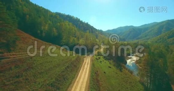 在阳光明媚的夏季早晨，低空飞行在带岩石的新鲜快山河上。视频