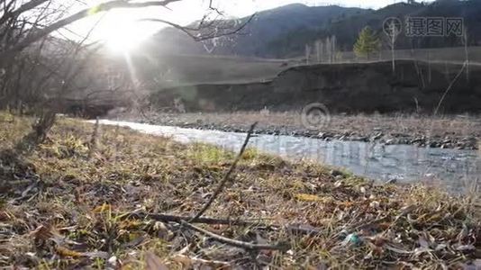多利滑块拍摄了在森林附近的一条山河里飞溅的水。 潮湿的岩石和阳光。 水平稳定视频