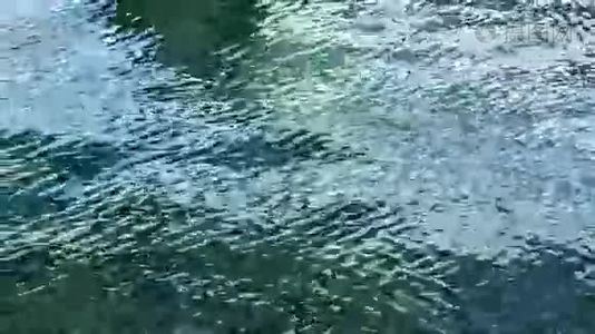 海水视频