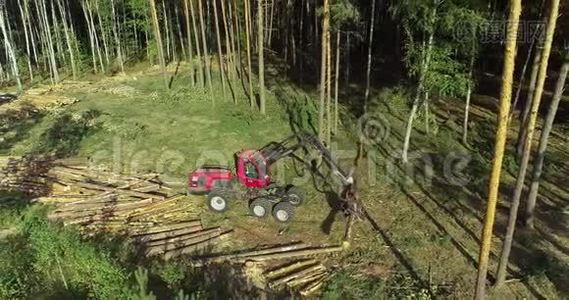 砍伐森林的现代设备，森林收割机.视频