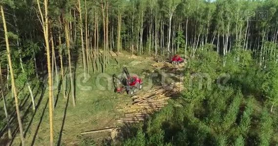 现代伐木机，毁林工作流程.视频