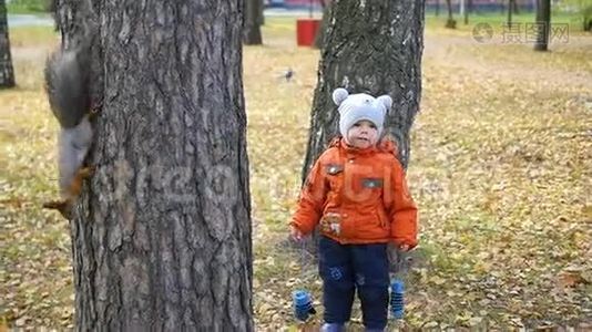 孩子们在秋天的公园里散步视频