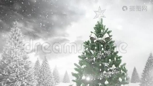 冬天的风景和下雪的圣诞树视频