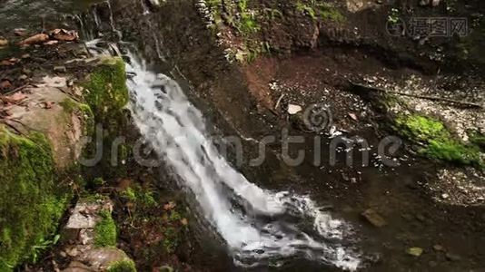 瀑布落在森林里视频