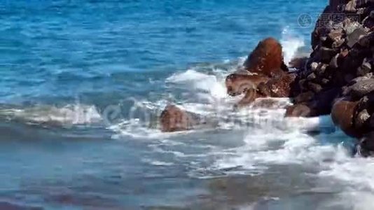 美丽的岩石海岸和海浪视频