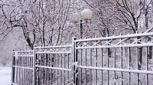 冬天降雪在城市里，柔和的圣诞节早晨降雪视频
