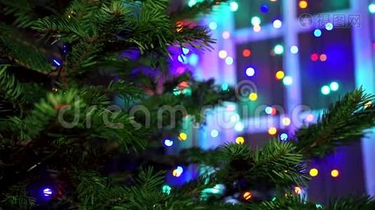 手女人用圣诞彩灯装饰圣诞树。视频