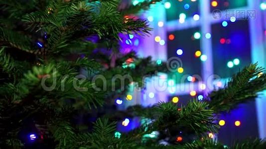 手女人用圣诞彩灯装饰圣诞树。视频