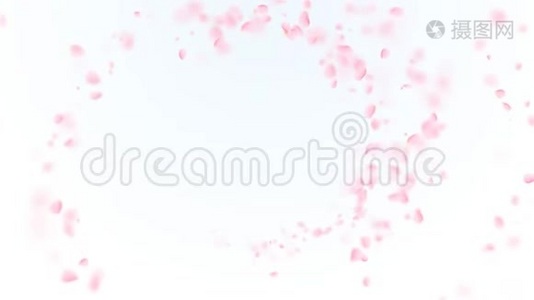 粉红色的樱花花瓣落在浪漫的抽象背景上。 循环4K运动春花图形。视频