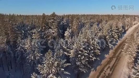 一条狭窄的森林道路，在白雪覆盖的森林和松树之间视频
