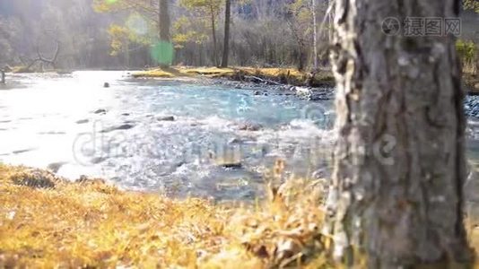 多利滑块拍摄了在森林附近的一条山河里飞溅的水。 潮湿的岩石和阳光。 水平稳定视频