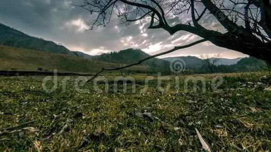 死亡树和枯黄的草在云和太阳光线的蒙天景观的时间流逝。 水平滑块运动视频