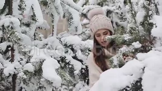 一个美丽的少女在一片白雪皑皑的森林里视频