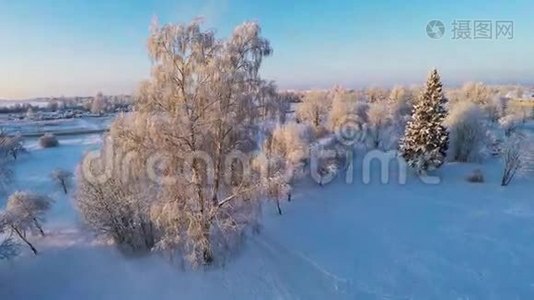 美丽的雪景。 冬天的树。 日落。 空中镜头。 四处飞行。视频