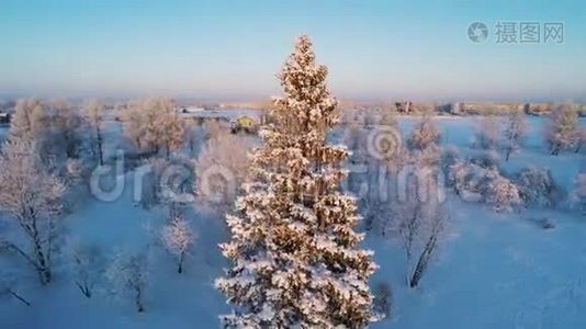 美丽的雪景。 冬天的树。 日落。 空中镜头。 四处飞行。视频