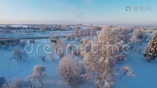 美丽的雪景。 冬天的树。 日落。 空中镜头。 四处飞行。视频