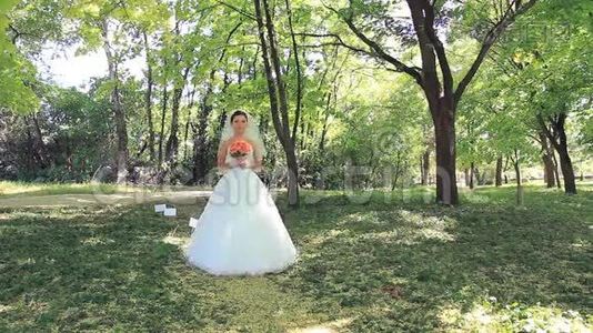 公园里的新娘和新郎视频