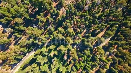 从上面鸟瞰红杉国家公园森林。视频