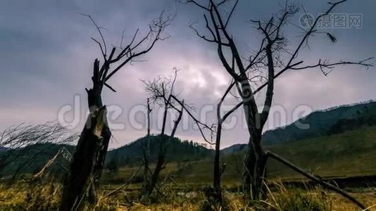 死亡树和枯黄的草在云和太阳光线的蒙天景观的时间流逝。 水平滑块运动视频