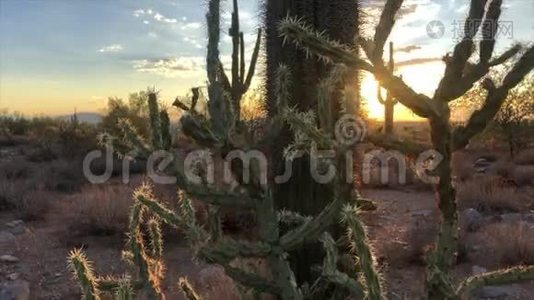 亚利桑那州斯科茨代尔沙漠日落视频