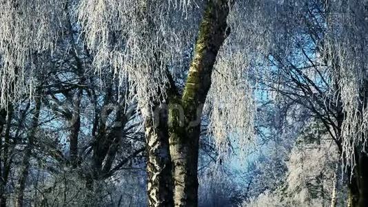 冬天的风景和降雪视频